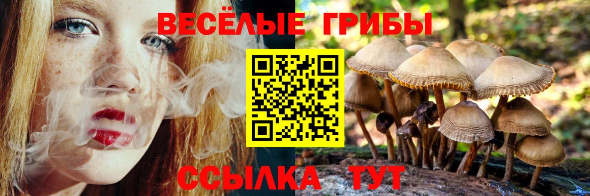 Сафоново  Псилоцибиновые грибы GOLDEN TEACHER  где купить наркотик  Вход с VPN 